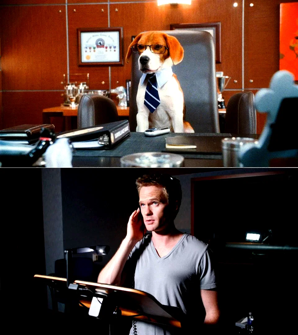 Photo du film : Comme chiens et chats - La Revanche de Kitty Galore 