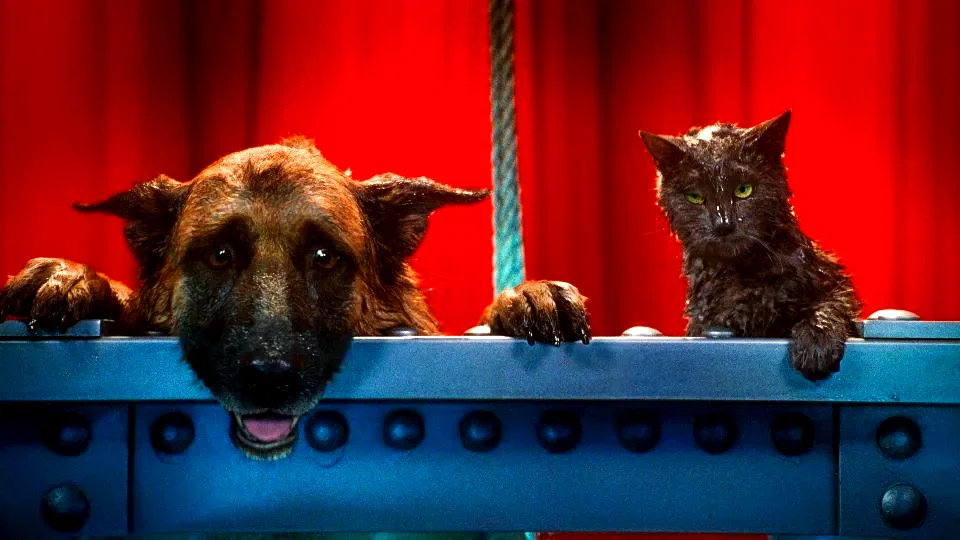 Photo du film : Comme chiens et chats - La Revanche de Kitty Galore 