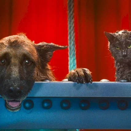 Miniature photo du film : Comme chiens et chats - La Revanche de Kitty Galore 