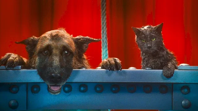 Photo du film : Comme chiens et chats - La Revanche de Kitty Galore 