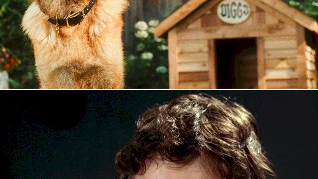 Affiche du film : Comme chiens et chats - La Revanche de Kitty Galore 