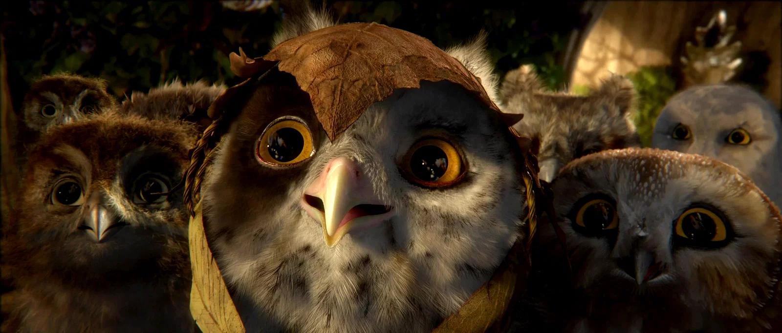 Photo du film : Le royaume de Ga'Hoole - la légende des gardiens