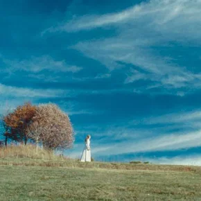 Photo du film : Au fond des bois 