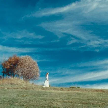 Miniature photo du film : Au fond des bois 