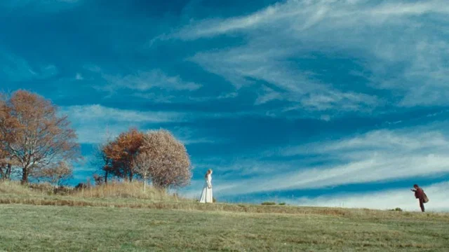 Photo du film : Au fond des bois 
