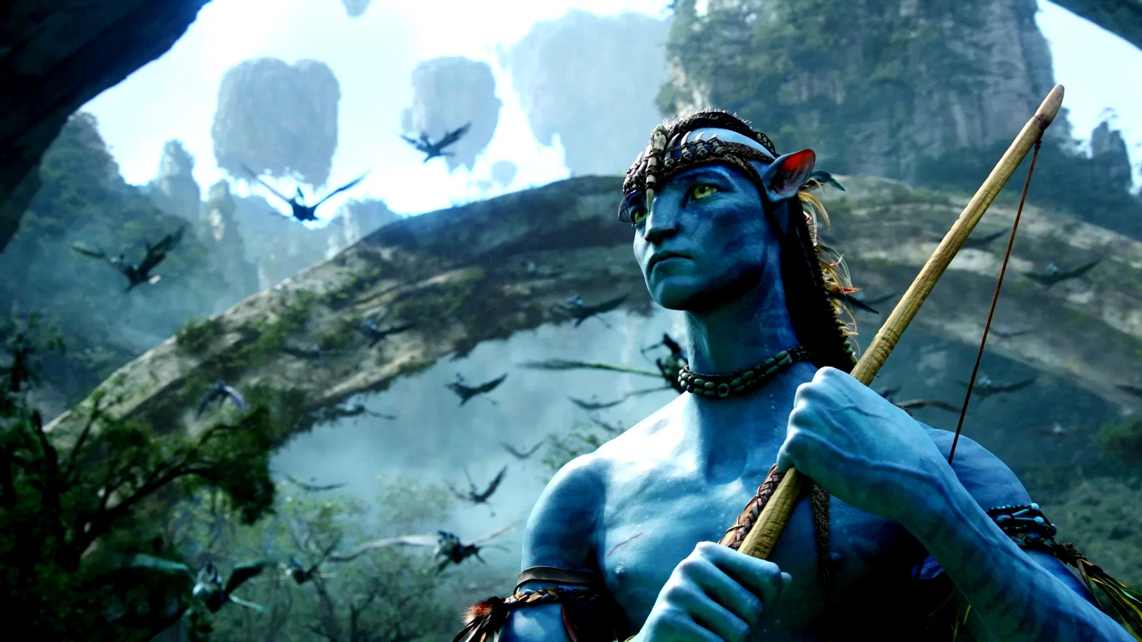 Photo 4 du film : Avatar special edition