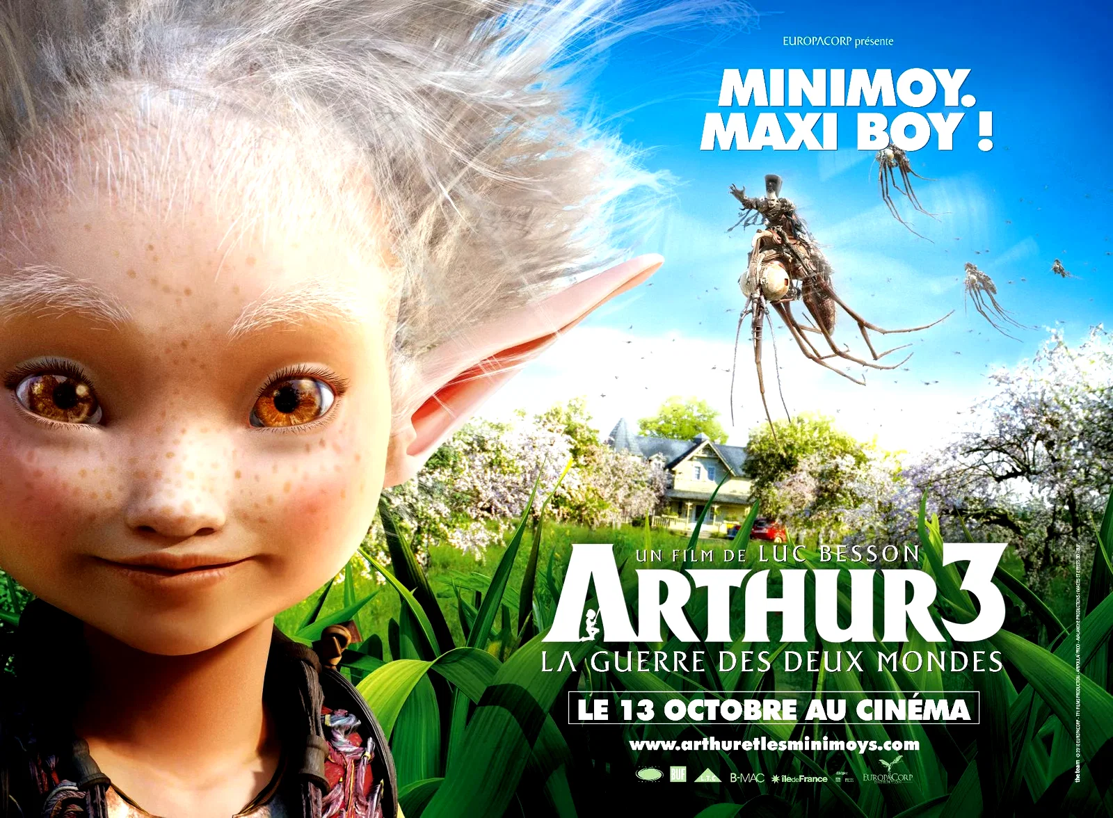Photo du film : Arthur 3 - La guerre des deux mondes