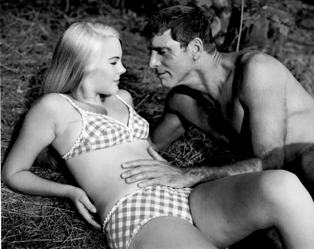 Photo 3 du film : The Swimmer