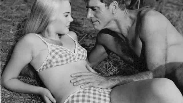 Photo du film : The Swimmer