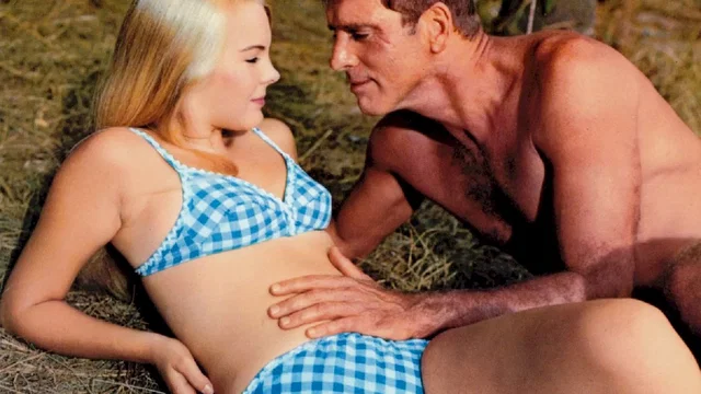 Photo du film : The Swimmer