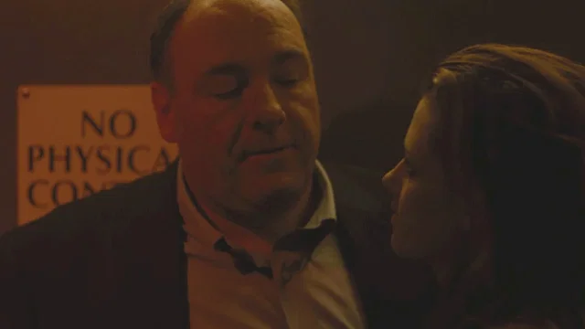Photo du film : Welcome to the Rileys