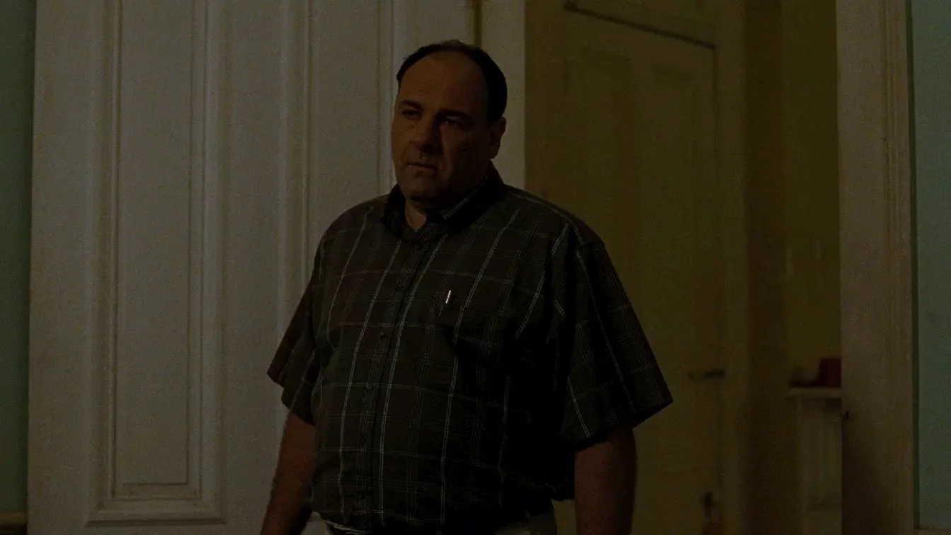 Photo 11 du film : Welcome to the Rileys