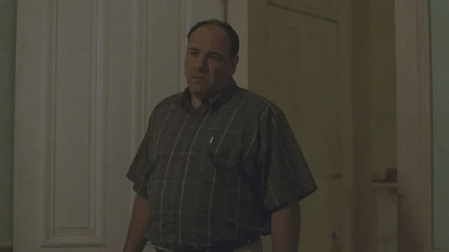 Photo du film : Welcome to the Rileys