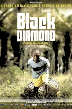 Affiche du film Black Diamond