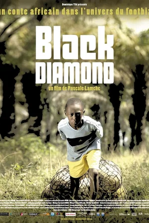Affiche du film : Black Diamond