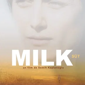 Photo du film : Milk 