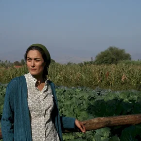 Photo du film : Milk 
