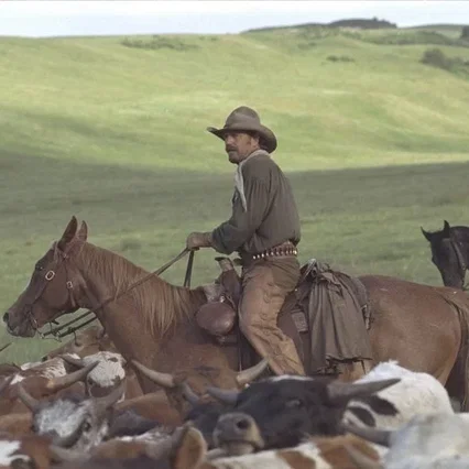 Miniature photo du film : Open Range