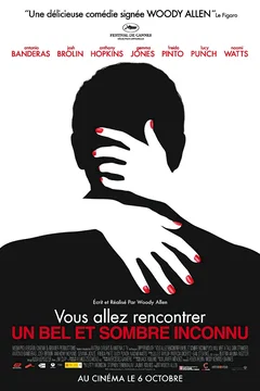 Affiche du film Vous allez rencontrer un bel et sombre inconnu