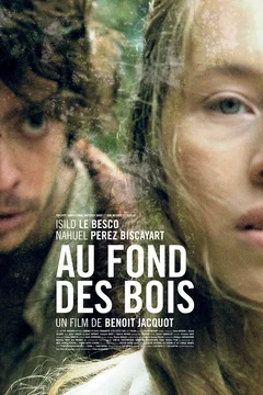 Affiche du film Au fond des bois 