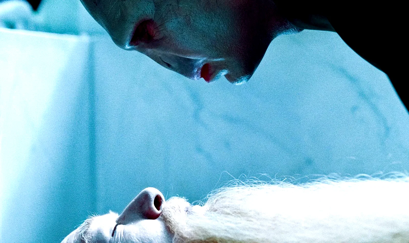 Photo du film : Harry Potter et les reliques de la mort - Partie 1