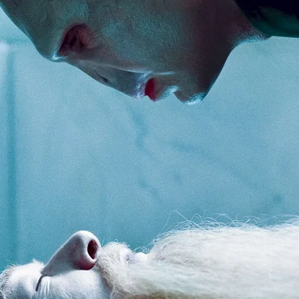 Miniature photo du film : Harry Potter et les reliques de la mort - Partie 1