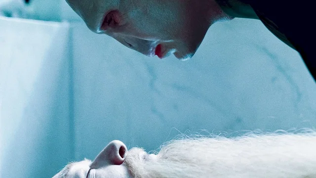 Photo du film : Harry Potter et les reliques de la mort - Partie 1