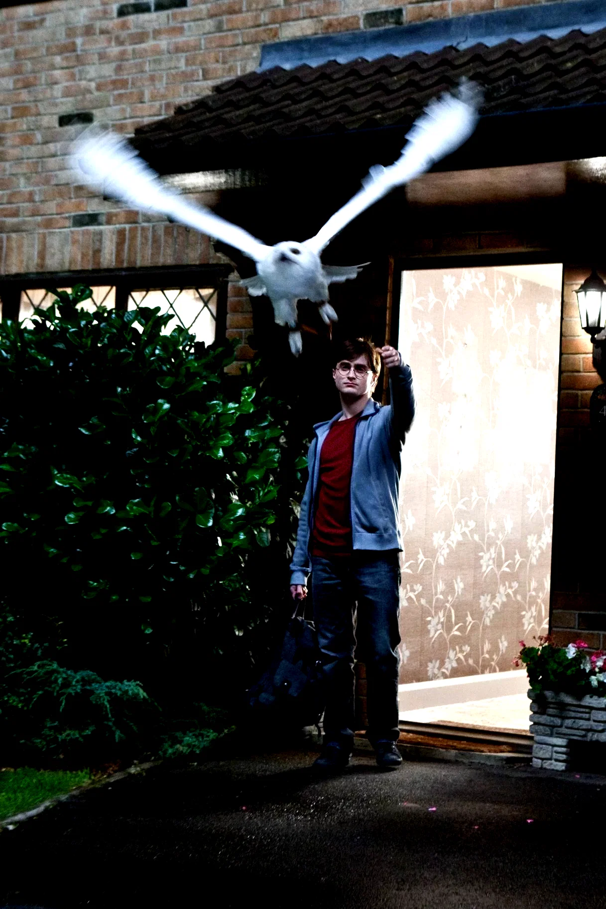 Photo du film : Harry Potter et les reliques de la mort - Partie 1