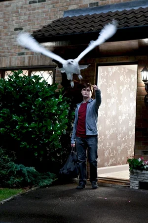 Photo du film : Harry Potter et les reliques de la mort - Partie 1