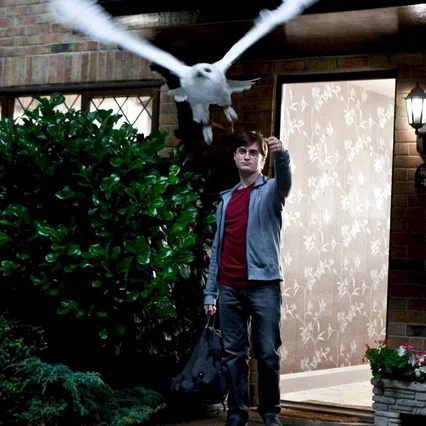 Miniature photo du film : Harry Potter et les reliques de la mort - Partie 1