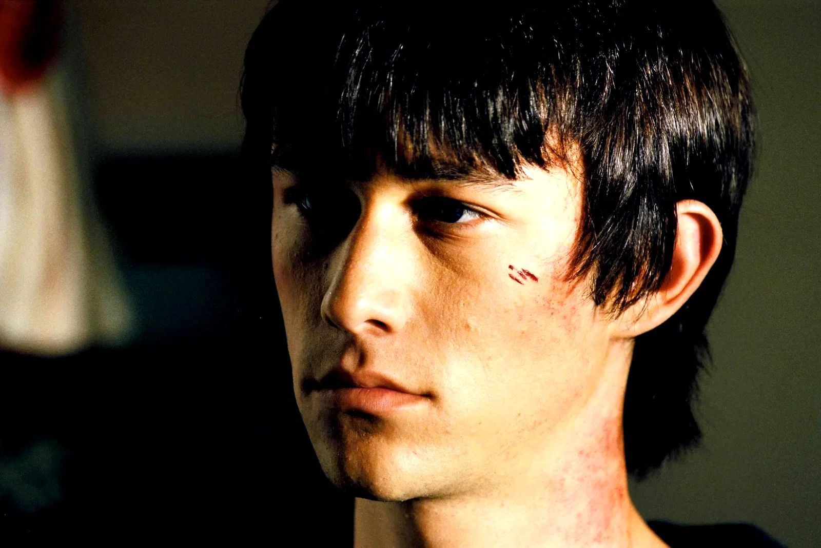 Photo 9 du film : Mysterious skin