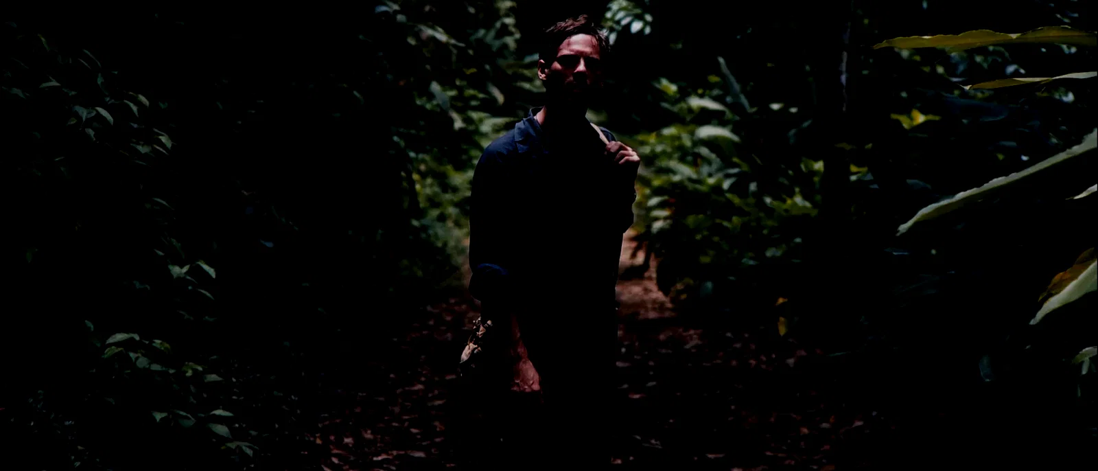 Photo 4 du film : Monsters