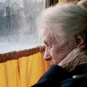 Photo du film : La Femme aux 5 éléphants