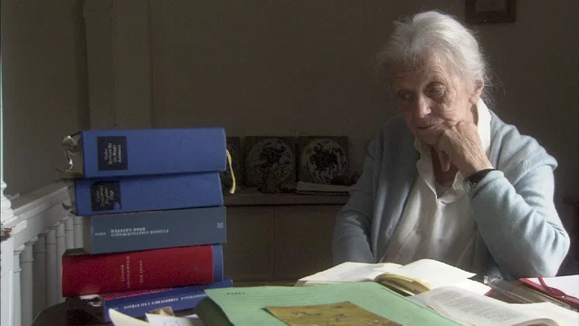 Photo 3 du film : La Femme aux 5 éléphants