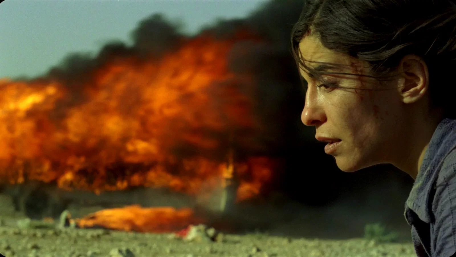 Photo 14 du film : Incendies