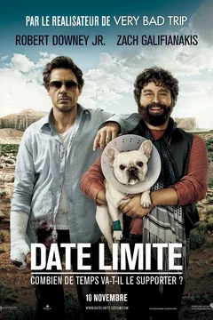 Affiche du film = Date limite