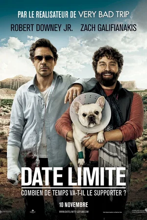Affiche du film : Date limite