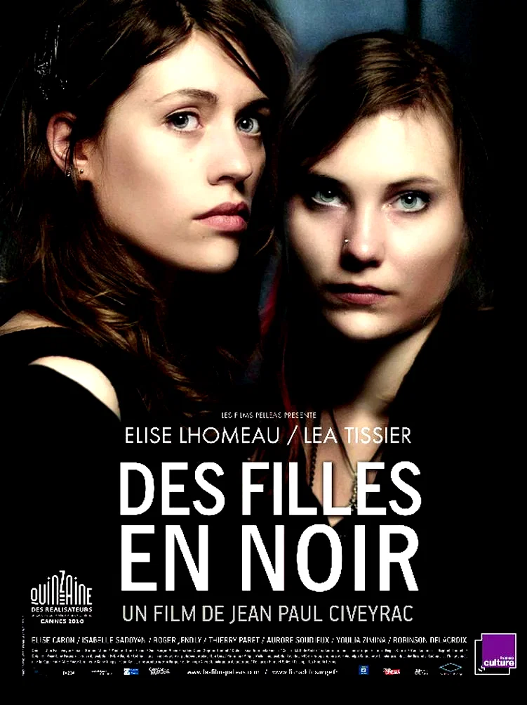 Affiche du film : Des Filles en noir 