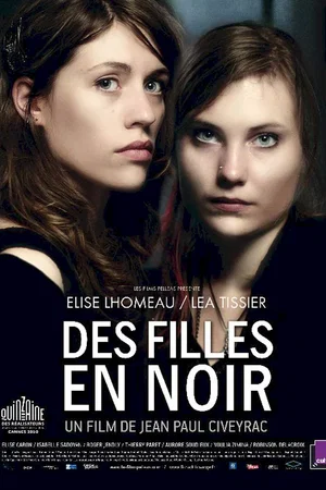 Affiche du film : Des Filles en noir 