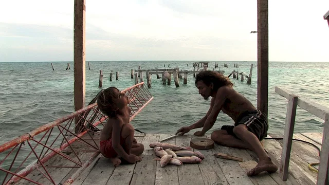 Photo 3 du film : Alamar