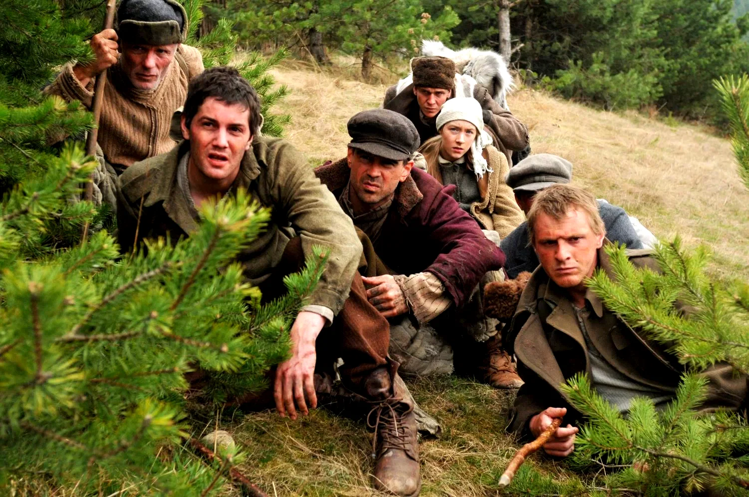 Photo 2 du film : Les chemins de la liberté