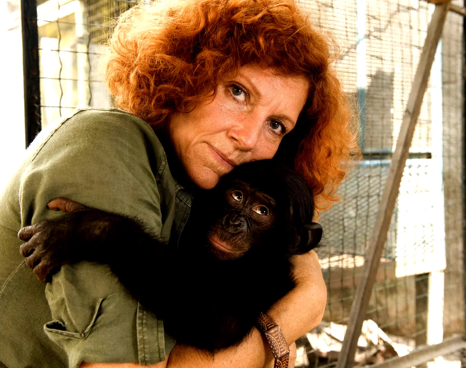 Photo 2 du film : Bonobos
