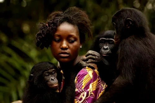 Photo 3 du film : Bonobos