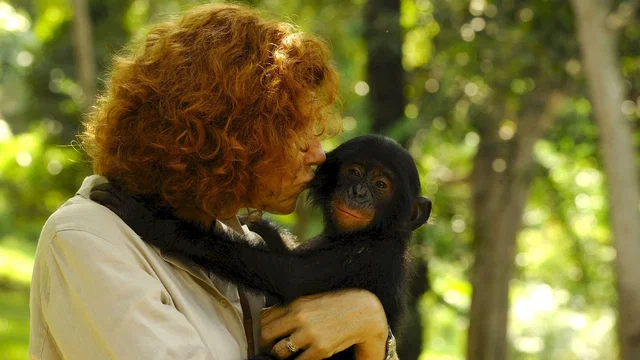 Photo du film : Bonobos