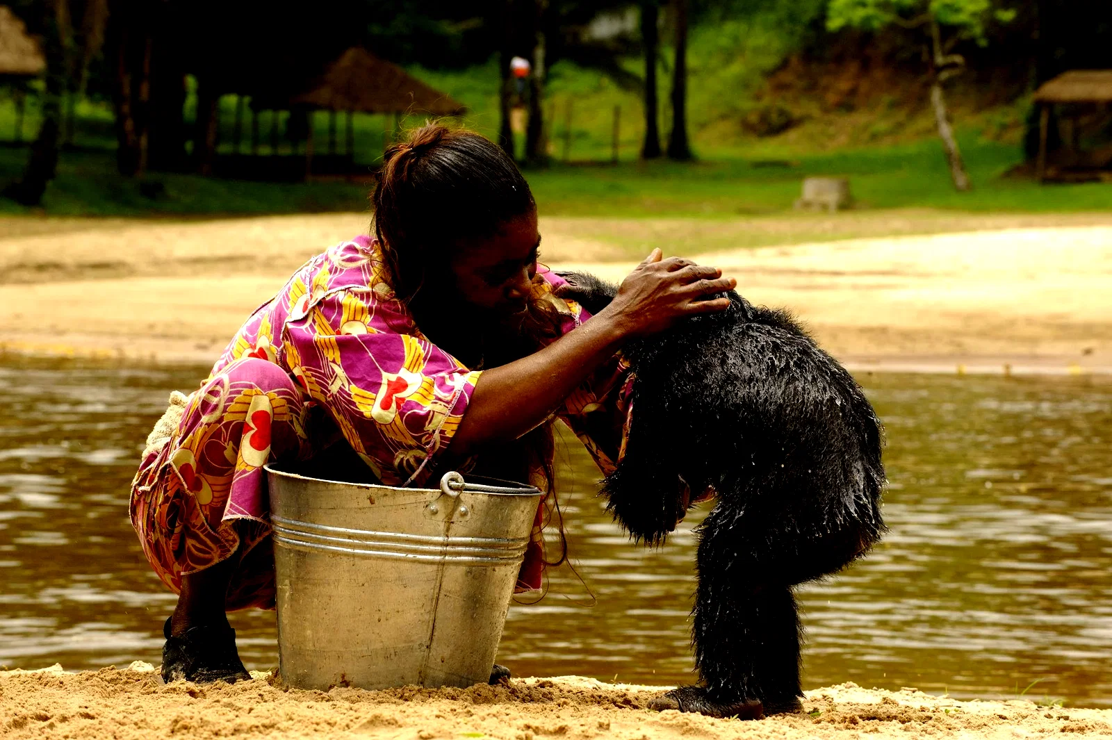 Photo 11 du film : Bonobos
