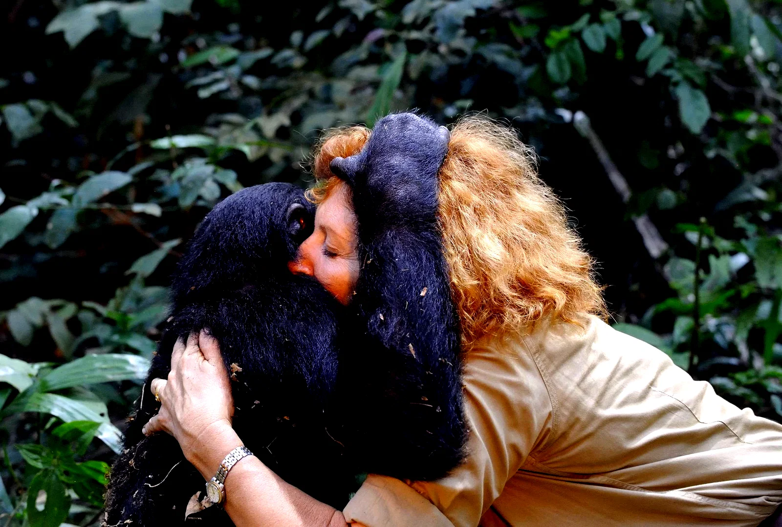Photo 17 du film : Bonobos