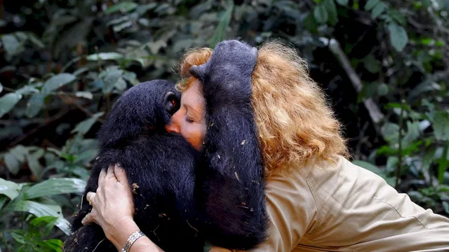 Photo du film : Bonobos