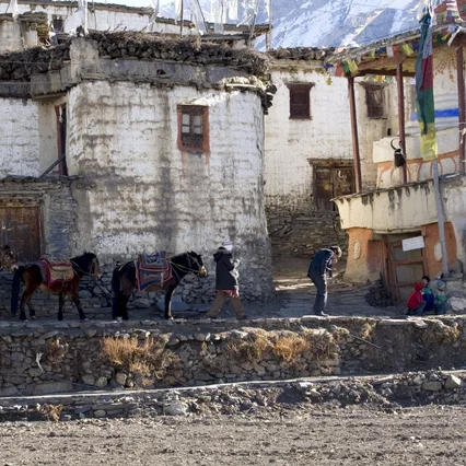 Miniature photo du film : Destination Himalaya 