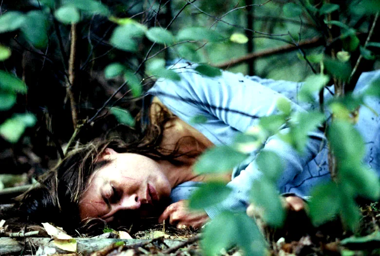 Photo 4 du film : L'étranger en moi