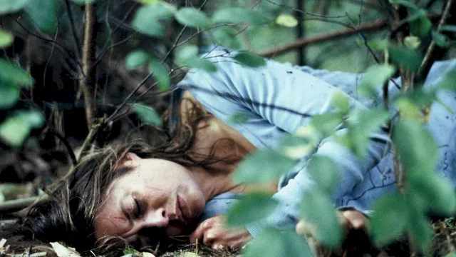 Photo du film : L'étranger en moi
